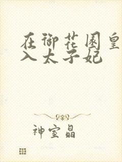 在御花园皇上进入太子妃封面