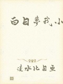白日梦我小说