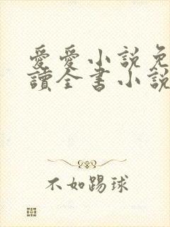 爱爱小说免费阅读全书小说乡村封面