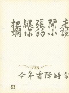 把腿张开老子臊烂你的小说