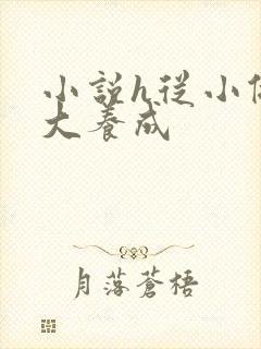 小说h从小做到大养成