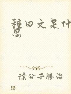 种田文是什么意思