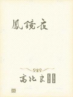 凤镜夜封面