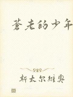 苍老的少年封面