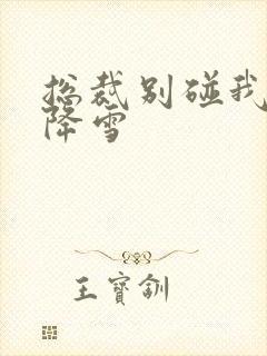 总裁别碰我 韩降雪