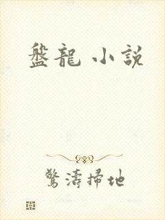 盘龙 小说