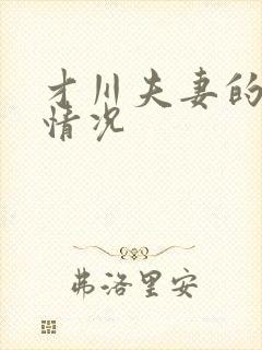 才川夫妻的恋爱情况