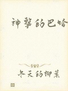 神击的巴哈姆特封面