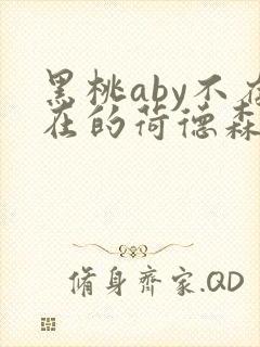 黑桃aby不存在的荷德森笔趣阁封面
