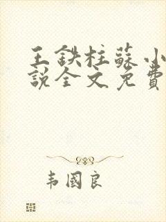 王铁柱苏小汐小说全文免费阅读最新章节