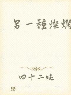 另一种灿烂生活