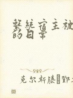 系统宿主被浇灌的日常