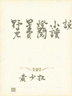 野星灯小说全文免费阅读