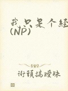 我只是个经纪人(NP)