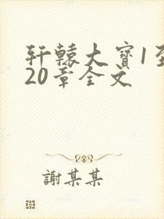 轩辕大宝1至720章全文封面