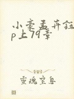 小豪孟卉钰慧三p上79章封面