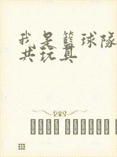 我是篮球队的公共玩具封面