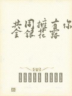 共同拥有你by金银花露封面