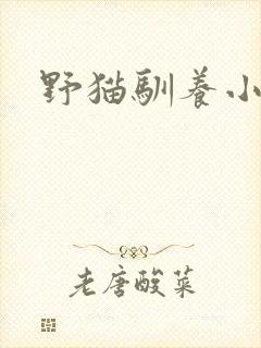 野猫驯养小说