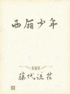 西厢少年