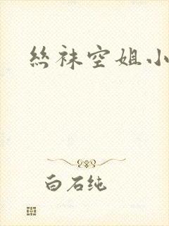 丝袜空姐小说封面