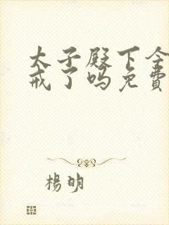 太子殿下今天破戒了吗免费阅读