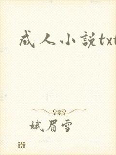 成人小说txt