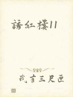 诱红楼11