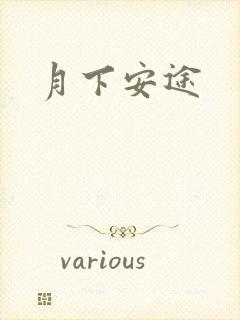 月下安途