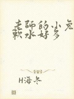 老师的小兔子好软水好多