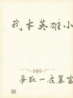 我本英雄小说