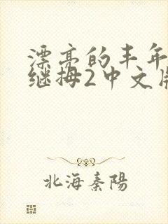 漂亮的丰年经的继拇2中文版封面