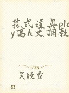 花式道具play高h文调教封面