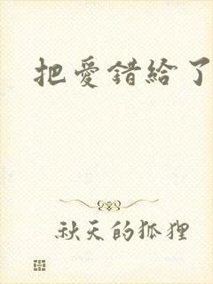 把爱错给了你