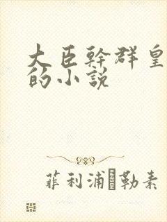 大臣干群皇太后的小说封面