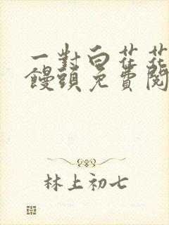 一对白花花的大馒头免费阅读