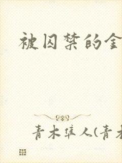 被囚禁的金丝雀