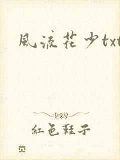 风流花少txt封面