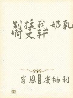 别揉我奶乳嗯～啊文轩