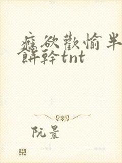 瘾欲欢愉半块小饼干tnt