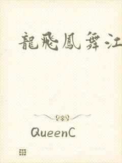 龙飞凤舞江一龙封面