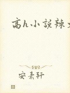 高h小说辣文