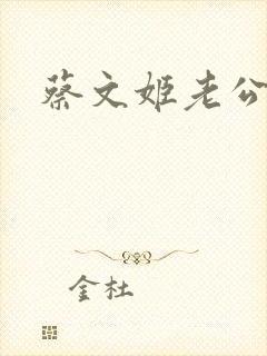 蔡文姬老公封面