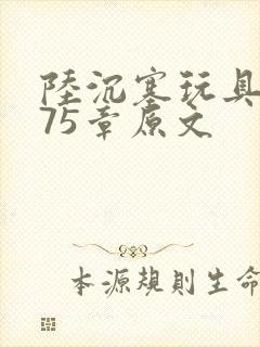 陆沉塞玩具高速75章原文封面