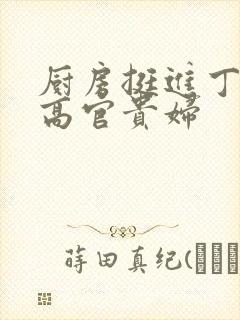 厨房挺进丁字裤高官贵妇