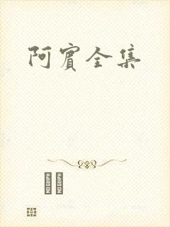 阿宾全集封面