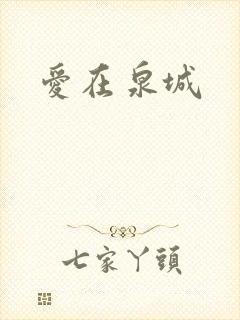 爱在泉城封面
