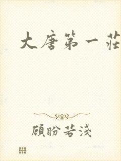 大唐第一庄
