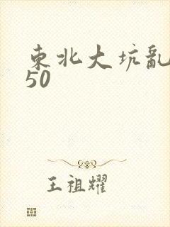 东北大坑乱1—50