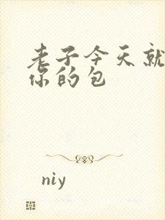 老子今天就要开你的包